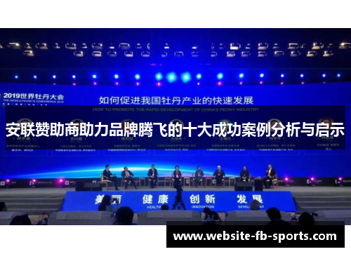 安联赞助商助力品牌腾飞的十大成功案例分析与启示