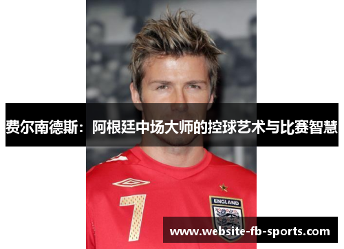 费尔南德斯：阿根廷中场大师的控球艺术与比赛智慧