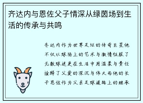 齐达内与恩佐父子情深从绿茵场到生活的传承与共鸣