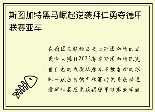 斯图加特黑马崛起逆袭拜仁勇夺德甲联赛亚军